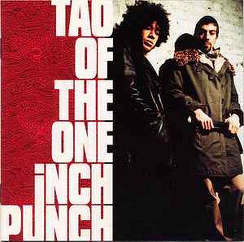 tao-of-the-one-inch-punch