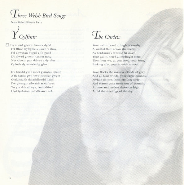 voice-of-an-angel