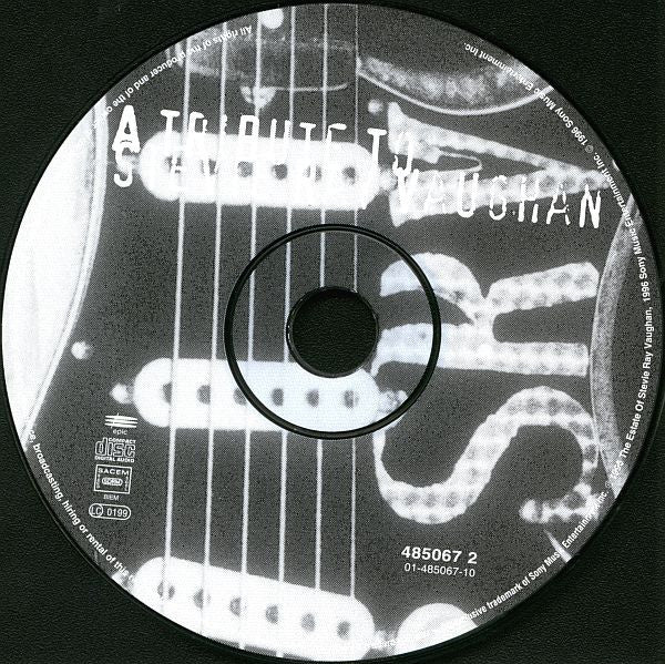 a-tribute-to-stevie-ray-vaughan