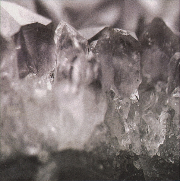violet-cries