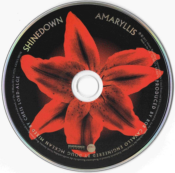 amaryllis