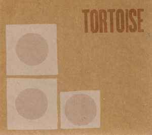 tortoise