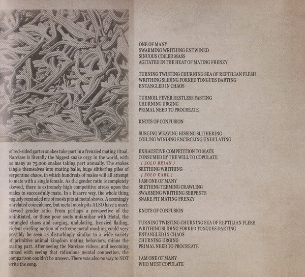 vile-nilotic-rites
