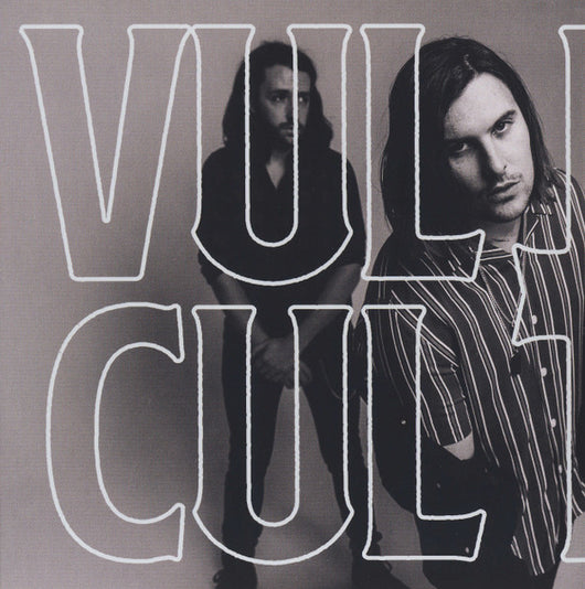 vulture-culture