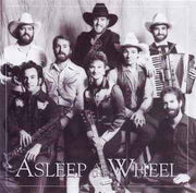 asleep-at-the-wheel