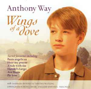 wings-of-a-dove