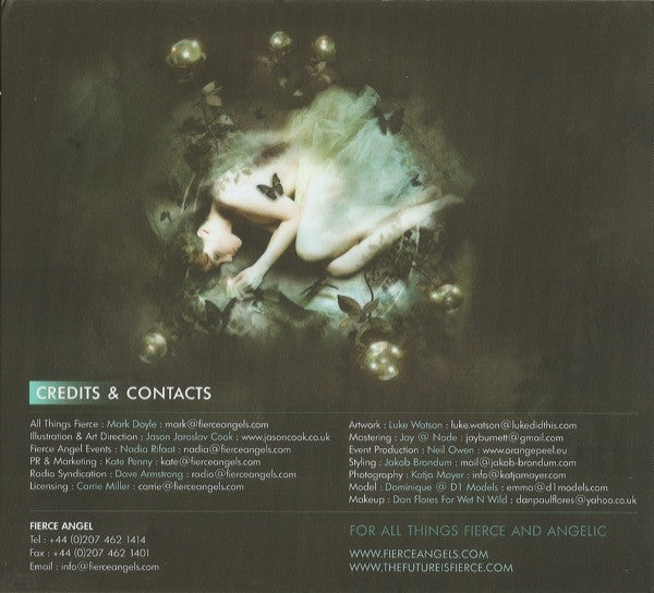 angels-fall-ii