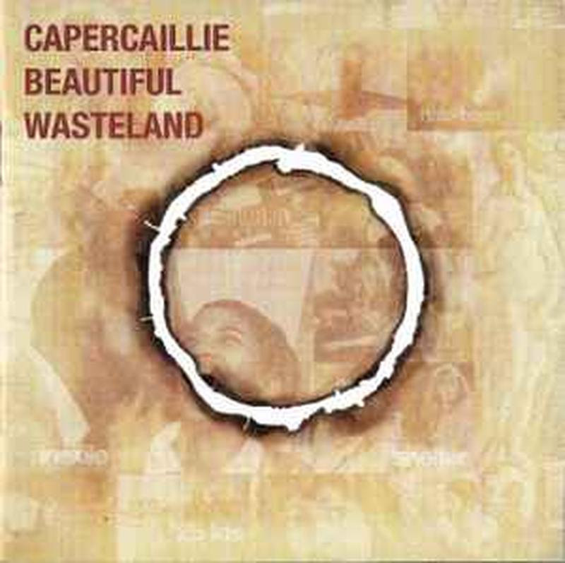 beautiful-wasteland