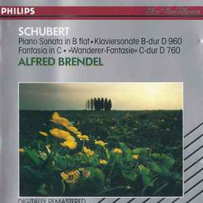 sonata-in-b-flat,-d.960-/-"wanderer"-fantasia