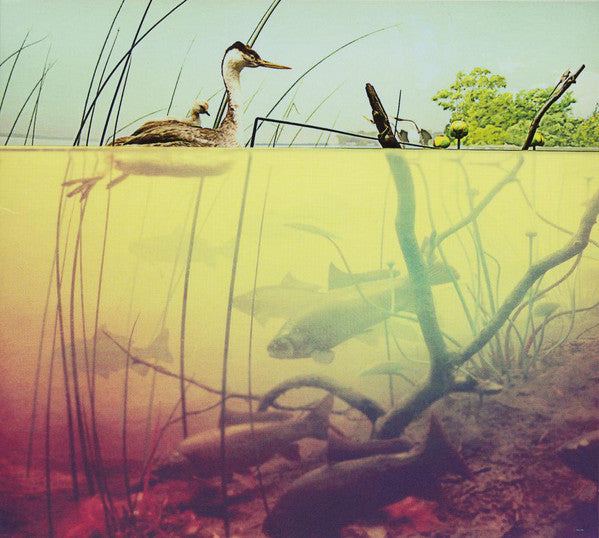 whales-and-leeches