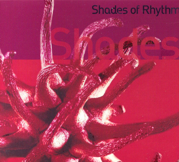 shades-of-rhythm