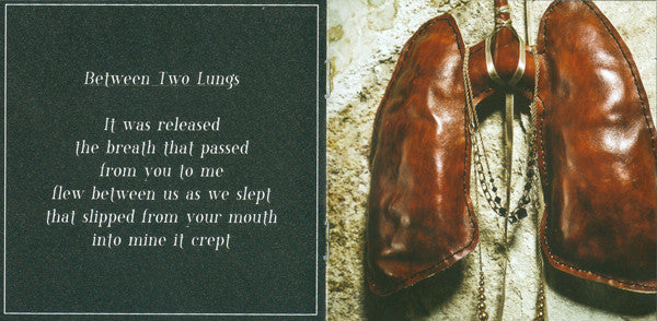 lungs