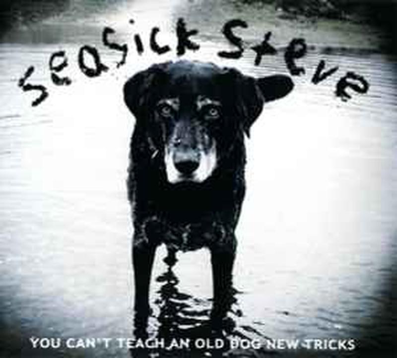 you-cant-teach-an-old-dog-new-tricks
