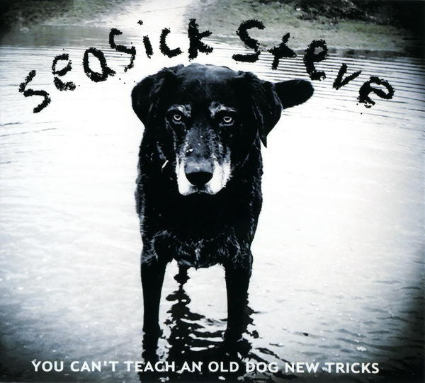 you-cant-teach-an-old-dog-new-tricks