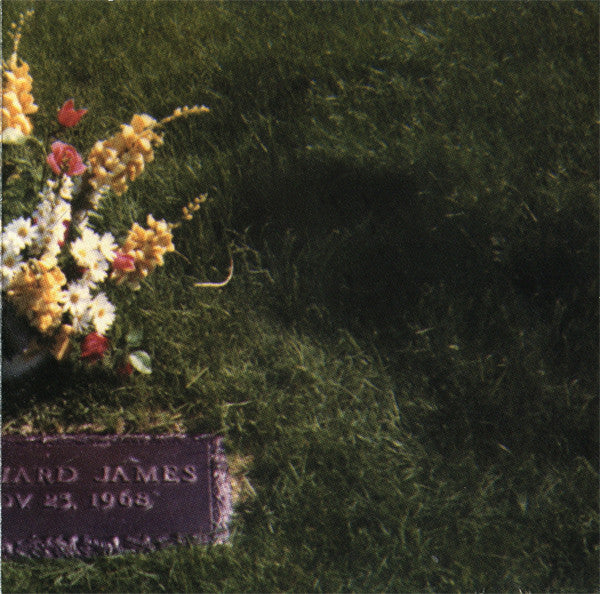richard-d.-james-album