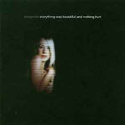 everything-was-beautiful-and-nothing-hurt