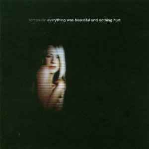 everything-was-beautiful-and-nothing-hurt