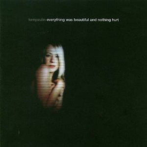 everything-was-beautiful-and-nothing-hurt