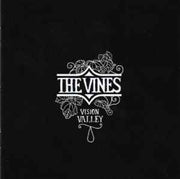 vision-valley
