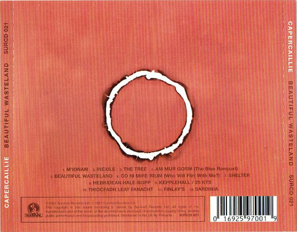 beautiful-wasteland