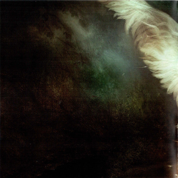 despite-guardian-angels
