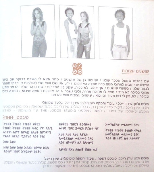 הפרויקט-של-עידן-רייכל