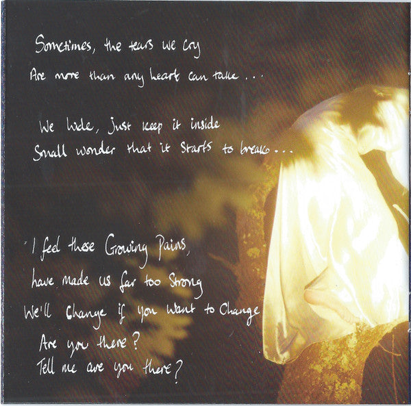 beautiful-lies