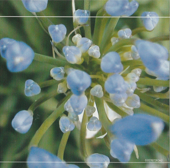 extraordinary-machine