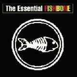 the-essential-fishbone