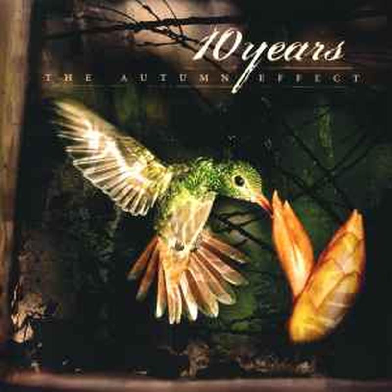 the-autumn-effect