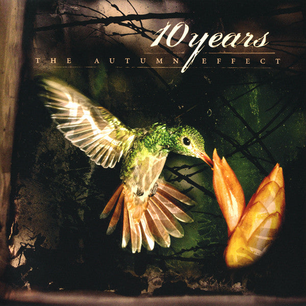 the-autumn-effect