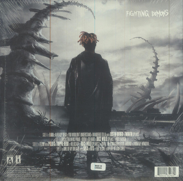 fighting-demons