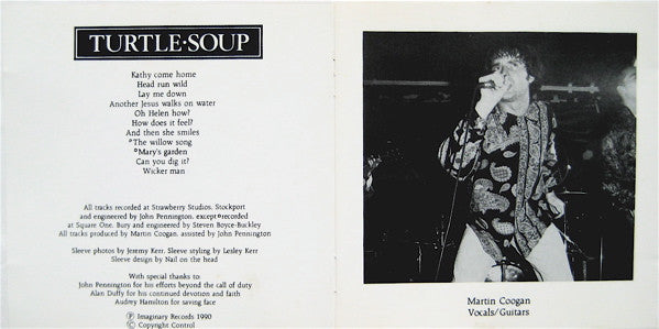 turtle-soup