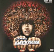 new-amerykah:-part-one-(4th-world-war)