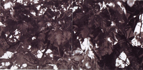 lesser-matters