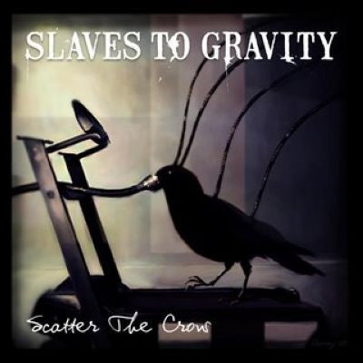 scatter-the-crow