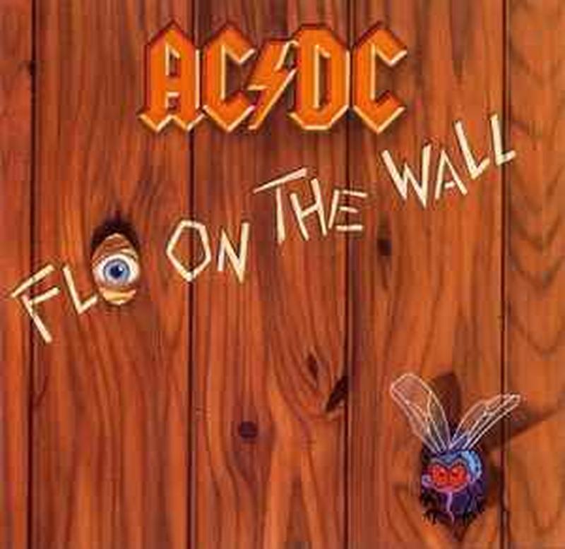fly-on-the-wall