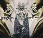phoenix-amongst-the-ashes