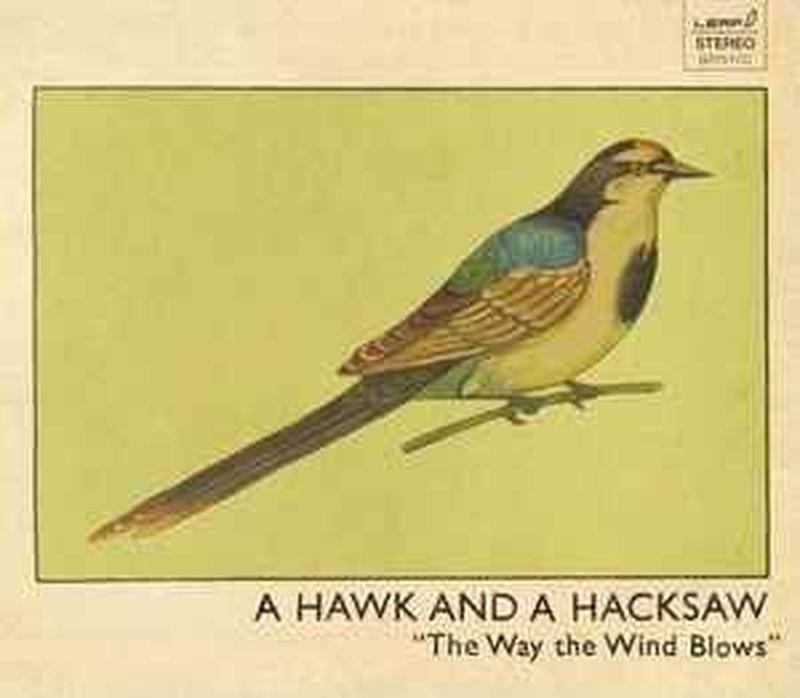 the-way-the-wind-blows