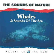 the-sounds-of-nature:-whales-&-sounds-of-the-sea