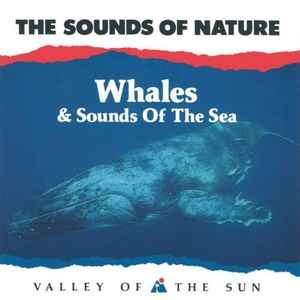 the-sounds-of-nature:-whales-&-sounds-of-the-sea