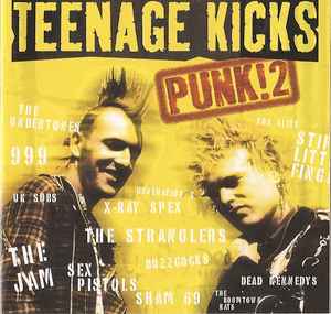 teenage-kicks:-punk-2