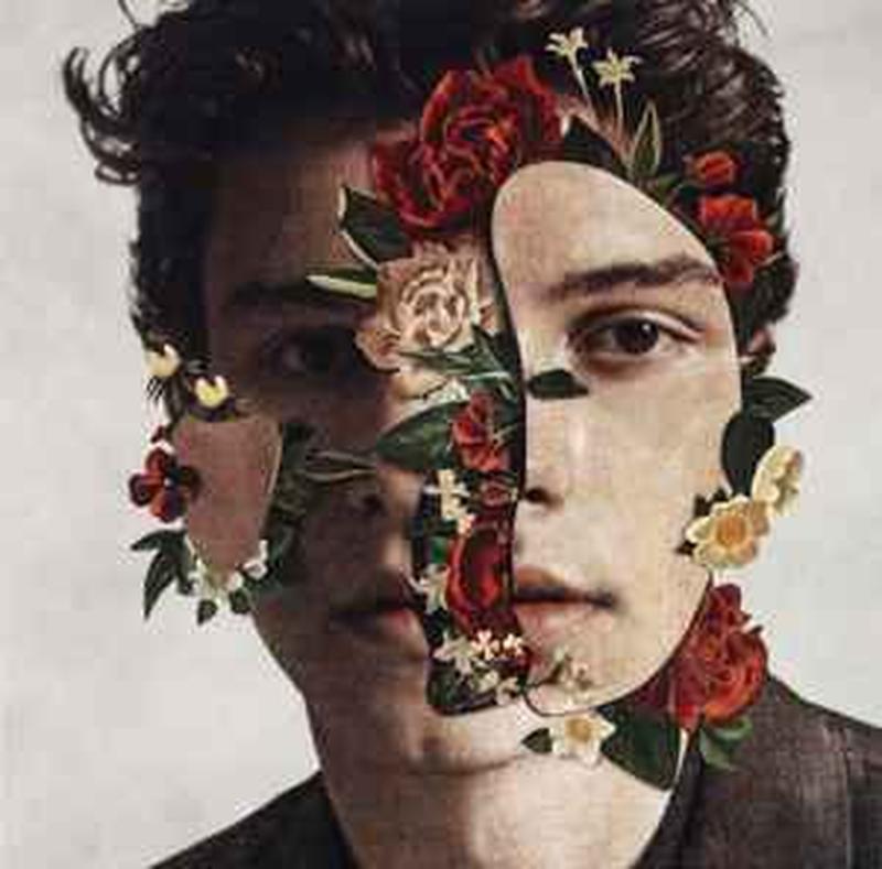 shawn-mendes