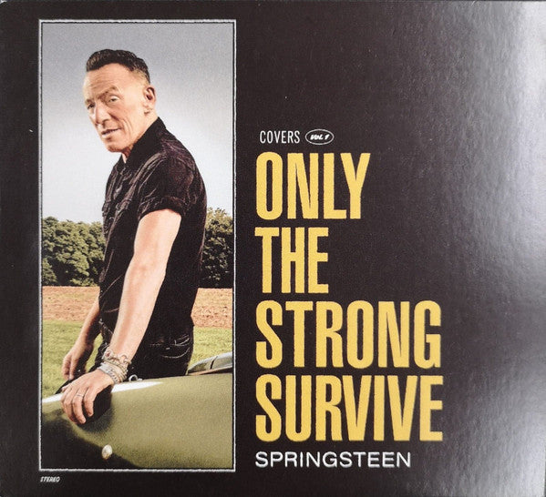 only-the-strong-survive-(covers-vol.-1)