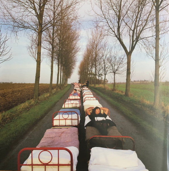 a-momentary-lapse-of-reason-(remixed-&-updated)