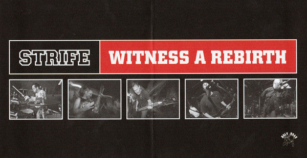 witness-a-rebirth