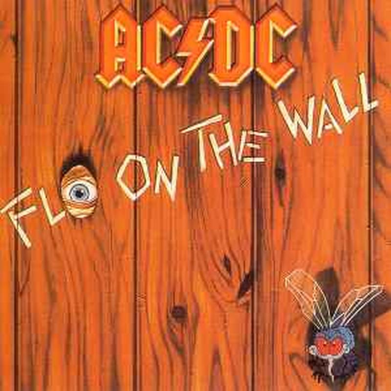 fly-on-the-wall