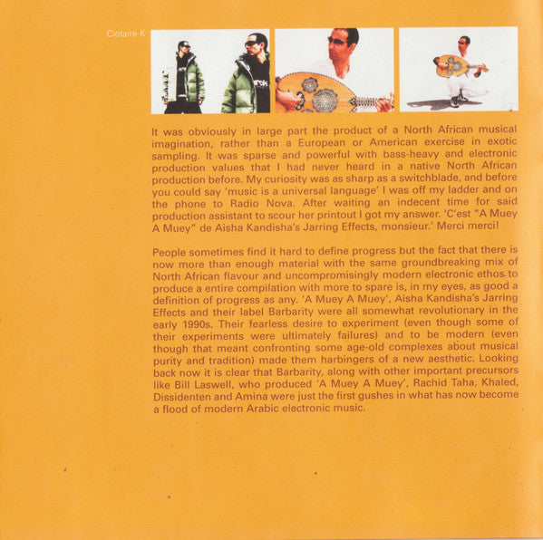 the-rough-guide-to-arabesque-(arabic-electronica:-traditional-roots-meet-modern-beats)