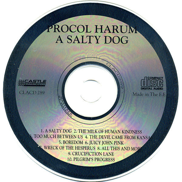 a-salty-dog