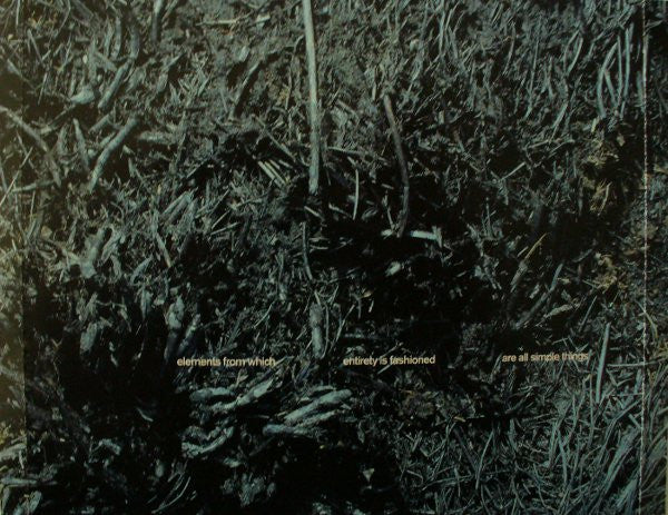 elemental-forces